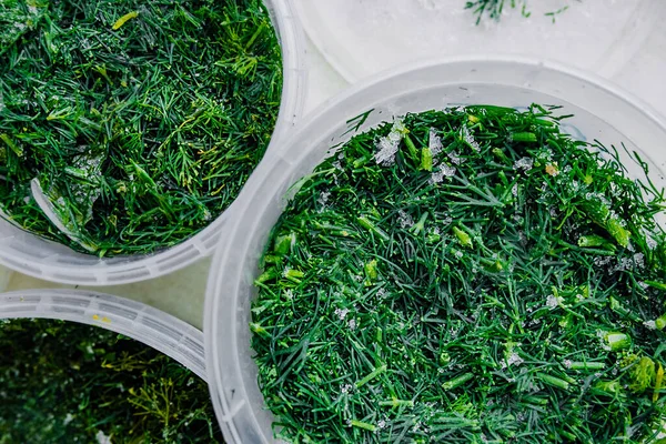 Gefrorener Frischer Grüner Dill Einem Plastikbehälter Lebensmittel Einfrieren Sie Frisch — Stockfoto