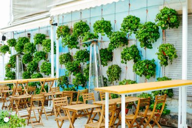 Yeşil canlı bitkilerle süslü şık bir kafe, ahşap mobilyalar, masa ve ziyaretçisi olmayan sandalyeler. Kamu hizmeti ve restoranlarda çevre dostu bir yönetim. Restoranların peyzajı