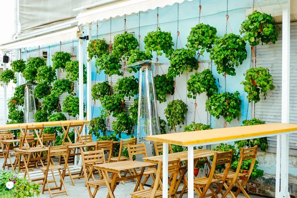 Yeşil canlı bitkilerle süslü şık bir kafe, ahşap mobilyalar, masa ve ziyaretçisi olmayan sandalyeler. Kamu hizmeti ve restoranlarda çevre dostu bir yönetim. Restoranların peyzajı