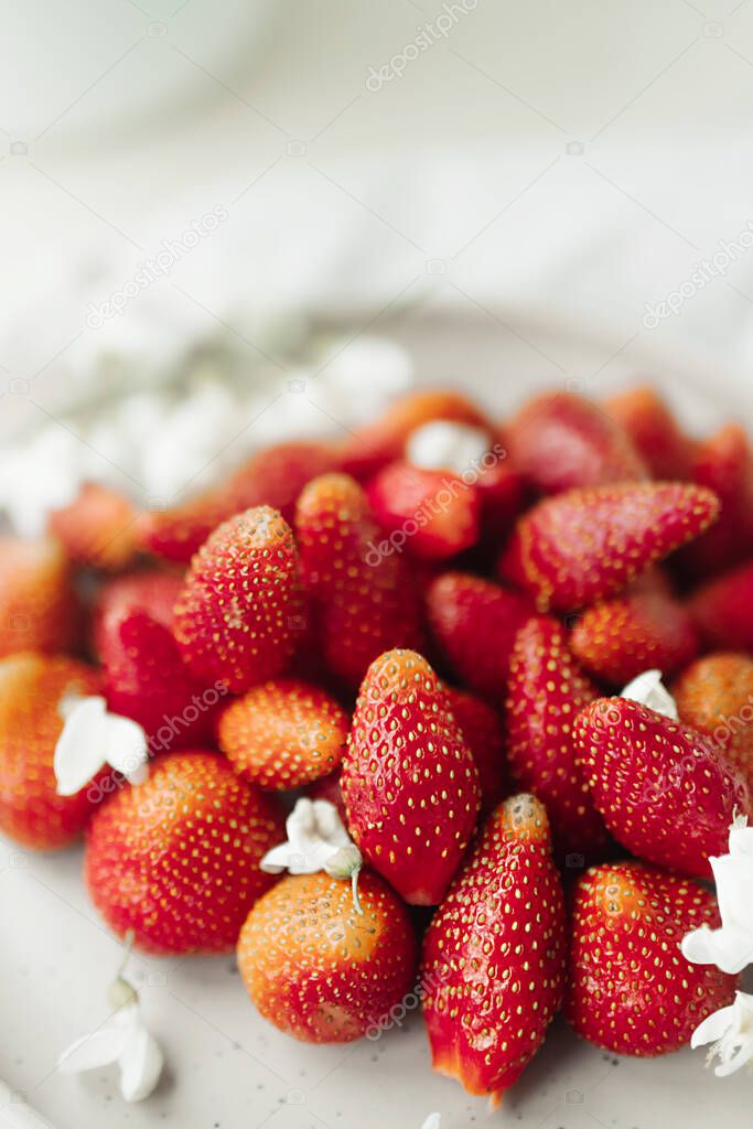fresh strawberries on plate and small white flowers as decor. healthy food. raw food diet. food content. seasonal berries. selective focus