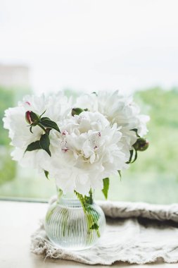 Pencere kenarındaki cam vazoda beyaz, ıslak şakayık Bud 'ın derinliği. dikey içerik, ev dekorasyonu, seçici odak