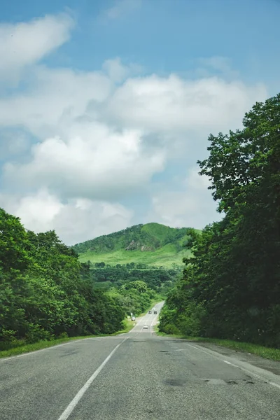 picturesque asphalt road among the horns and green summer summer. vertical travel content. selective focus