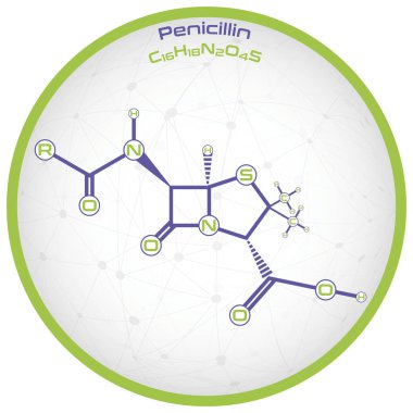 Penisilin molekülünün geniş ve detaylı bilgileri