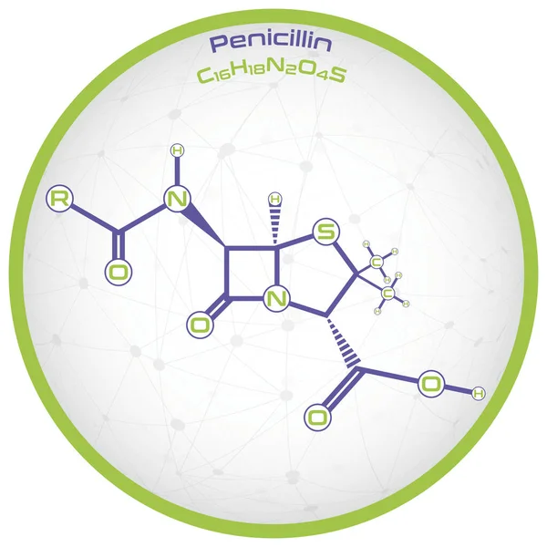 Stor Och Detaljerad Infographic Molekylen Penicillin — Stock vektor