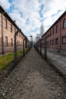 Auschwitz toplama kampı, Polonya