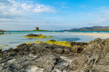 Bir su kütlesinin ortasında bir ada.