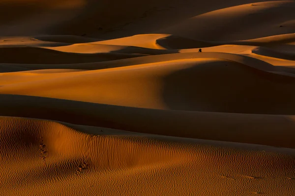 Wüstendünen Eine Reise Die Sahara Hochwertiges Foto — Stockfoto