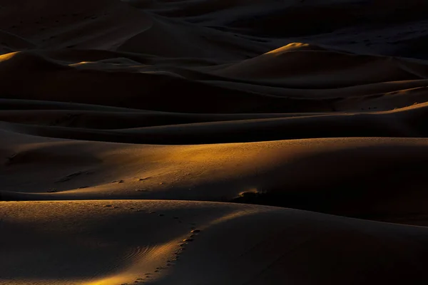 Wüstendünen Eine Reise Die Sahara Hochwertiges Foto — Stockfoto