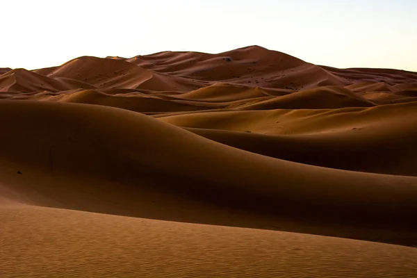 Wüstendünen Eine Reise Die Sahara Hochwertiges Foto — Stockfoto