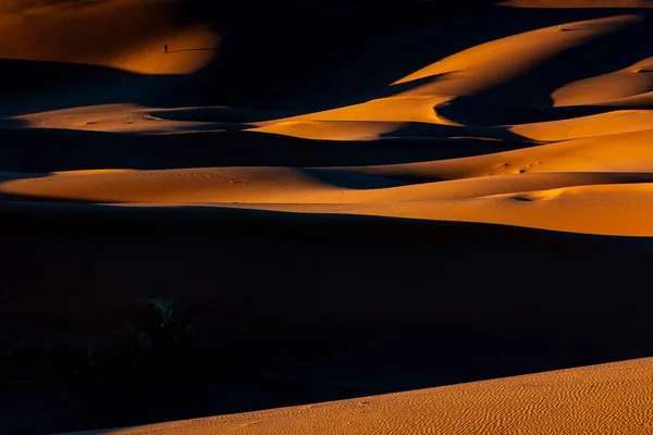 Desert Dunes Journey Sahara High Quality Photo — Stock Photo, Image