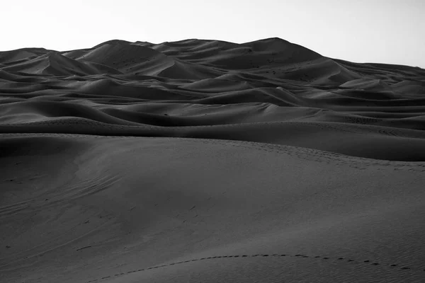 Wüstendünen Eine Reise Die Sahara Schwarz Weiß Hochwertiges Foto — Stockfoto