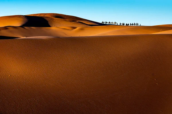 Wüstendünen Eine Reise Die Sahara Hochwertiges Foto — Stockfoto