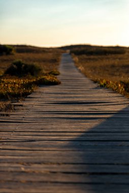 Sahilin üzerinde tahta bir yaya köprüsü. Yüksek kalite fotoğraf