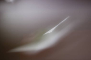 Şablonlar, desen resimleri 4k boy fotoğrafı