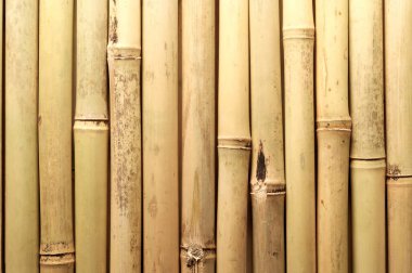 Şablonlar, şablon resimleri 4k yükseklik kalitesi