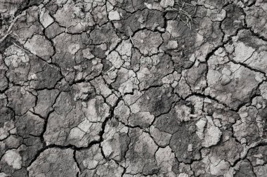 Şablonlar, şablon resimleri 4k yükseklik kalitesi