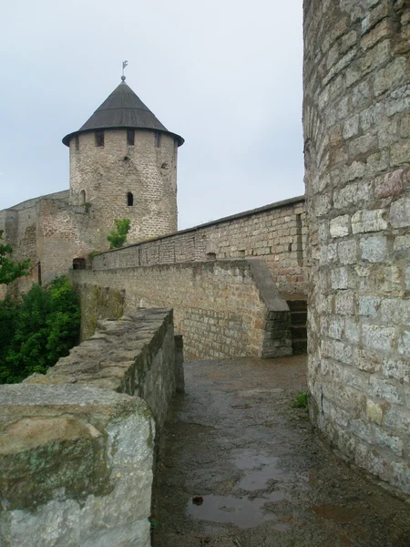 Ivangorod Fortress — Stock Photo, Image