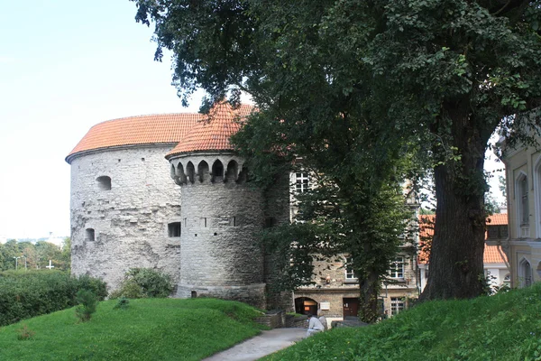 Tallinn — Stock Photo, Image