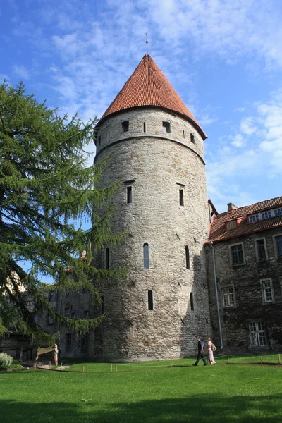 Tallinn — Zdjęcie stockowe