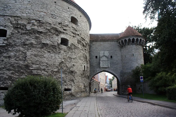 Tallinn — Stock Photo, Image