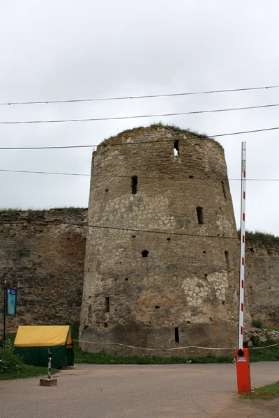 Izborsk fortress — Stock Photo, Image
