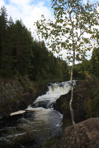 Cachoeira de Kivach — Fotografia de Stock