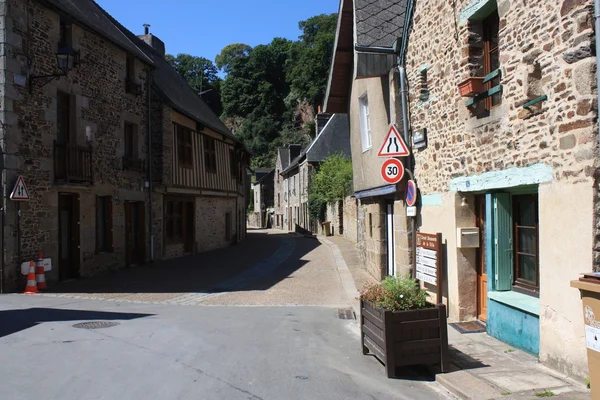 Fougeres. — Fotografia de Stock