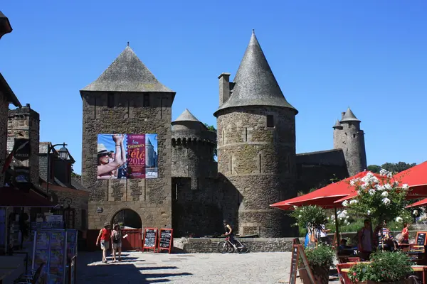 Fougeres. — Fotografia de Stock