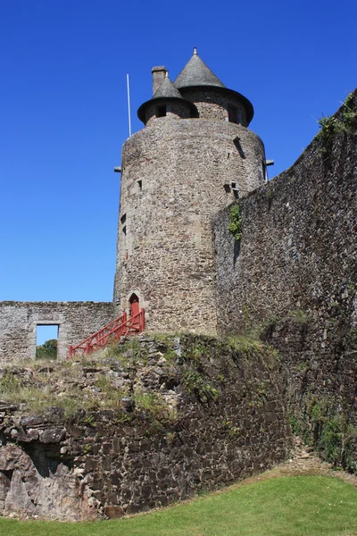 Fougeres. — Fotografia de Stock