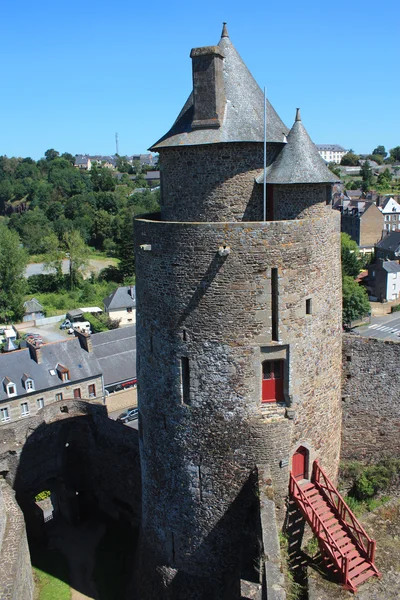 Fougeres. — Fotografia de Stock