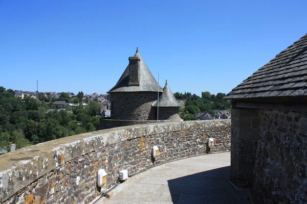 Fougeres. — Fotografia de Stock