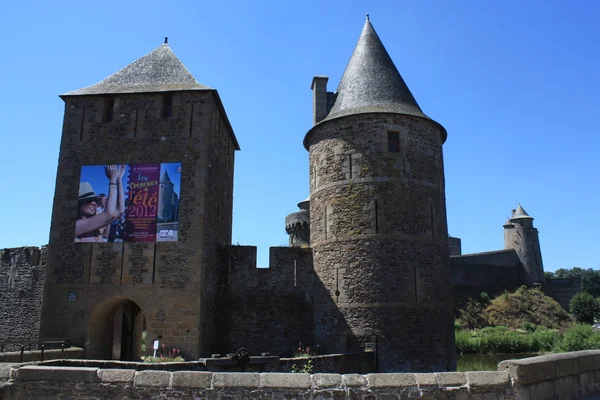 Fougeres. — Fotografia de Stock