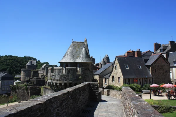 Fougeres. — Fotografia de Stock