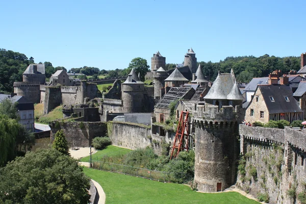 Fougères — Photo