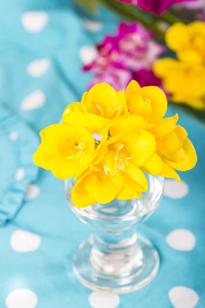Krásné květiny frézie zblízka — Stock fotografie