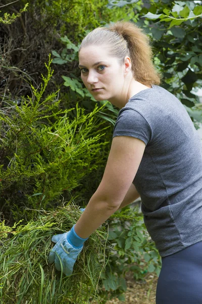 Mujer joven recogiendo hierba en el jardín — Foto de Stock