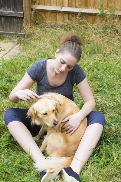 Jolie fille peignage fourrure de chien en plein air — Photo