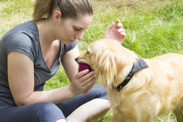 Chica bonita jugando con el perro al aire libre — Foto de Stock