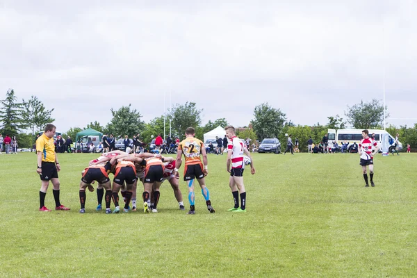 Mk Ruggerfest, Milton Keynes Rugby oyunu