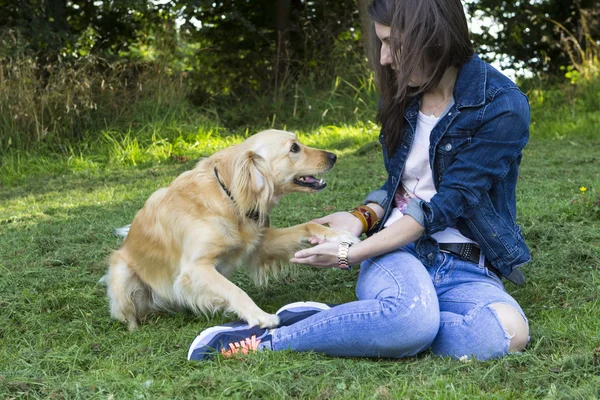 Chica jugando con el perro en el día de verano — Foto de Stock