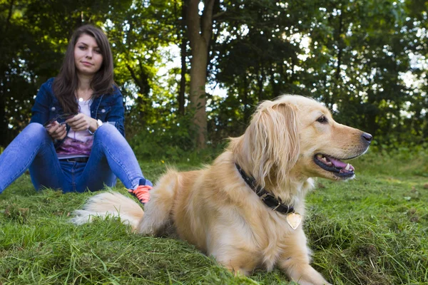 Chica jugando con el perro en el día de verano — Foto de Stock