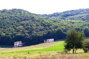 Yaz kırsal görünümü floresti, cluj, Romanya