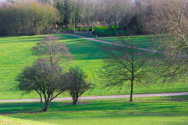 Hermoso parque en primavera — Foto de Stock