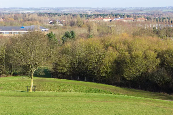 Hermoso parque en primavera — Foto de Stock