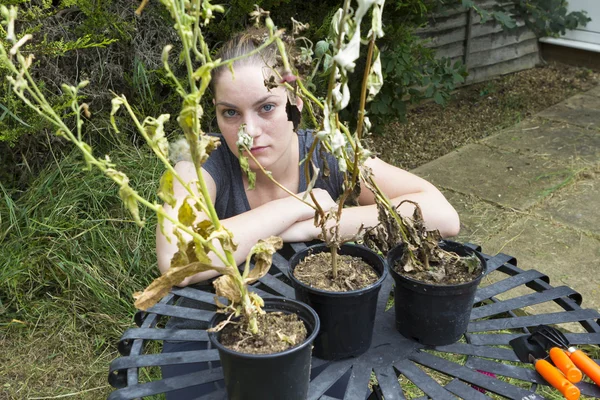 Sad young woman looking at dry flowers in pots — Stock Photo, Image