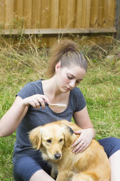 Chica bonita peinando piel de perro al aire libre — Foto de Stock