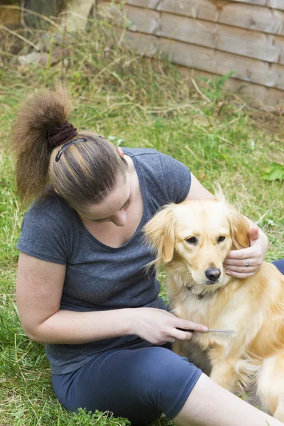 Chica bonita peinando piel de perro al aire libre — Foto de Stock