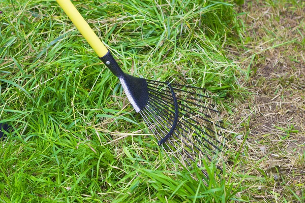 Metallic rake and grass — Stock Photo, Image