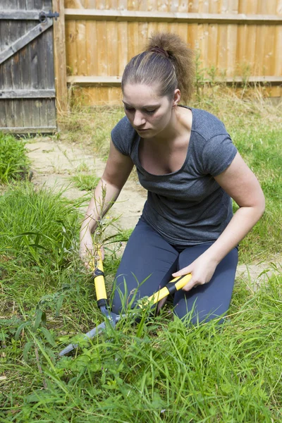 Mujer joven que trabaja con podadora de jardín en el jardín — Foto de Stock