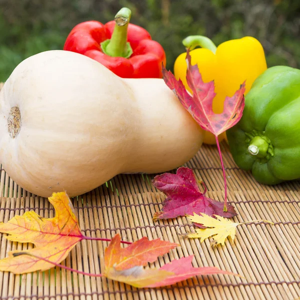 Still life with squash and peppers outdoors — Stock Photo, Image
